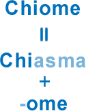 Chiome=Chiasma+-ome