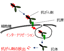 図