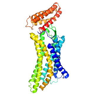 Recombinant proteins