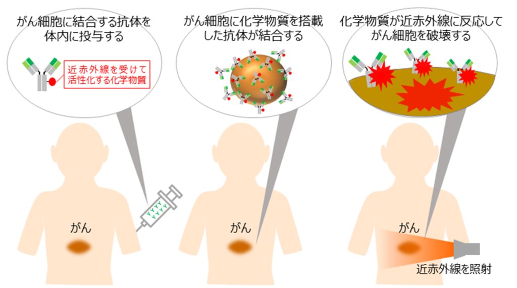 光免疫療法の仕組み