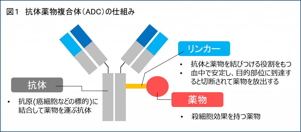 新パイプラインPCDC（ヒト化抗CDCP1モノクローナル抗体）のご紹介 
