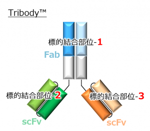 vol6_図1